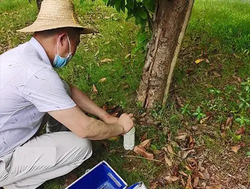 老鼠药成分及毒性介绍