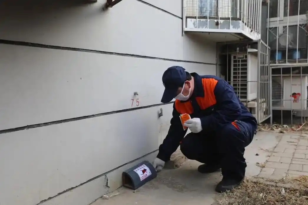 灭鼠的社会意义和价值