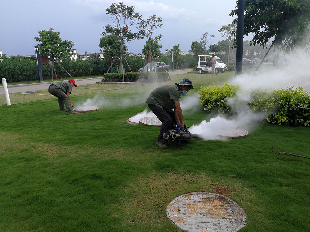 蟑螂的影响和危害