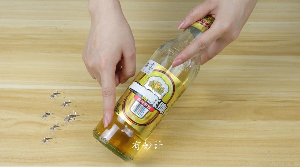 如何消灭蚊子_蚊子消灭了会不会影响生态_蚊子消灭方法