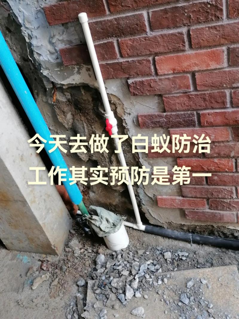 灭白蚁的电话号码是多少_有没有消灭白蚁的电话_灭白蚂蚁电话