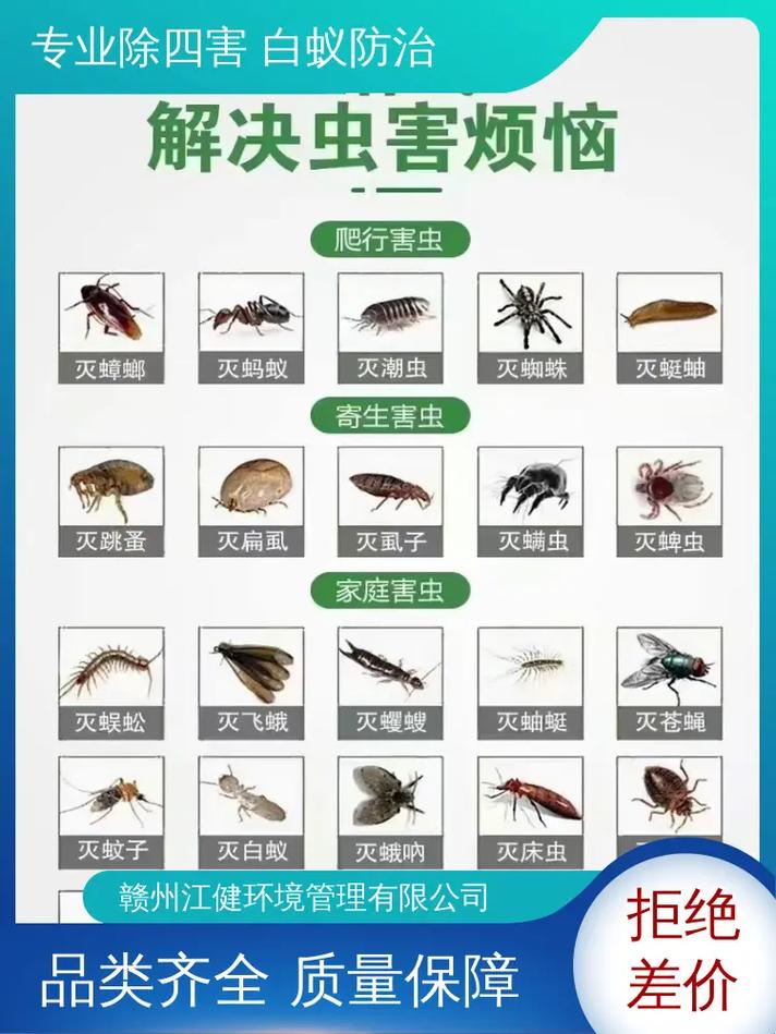 灭白蚂蚁电话_有没有消灭白蚁的电话_灭白蚁的电话号码是多少