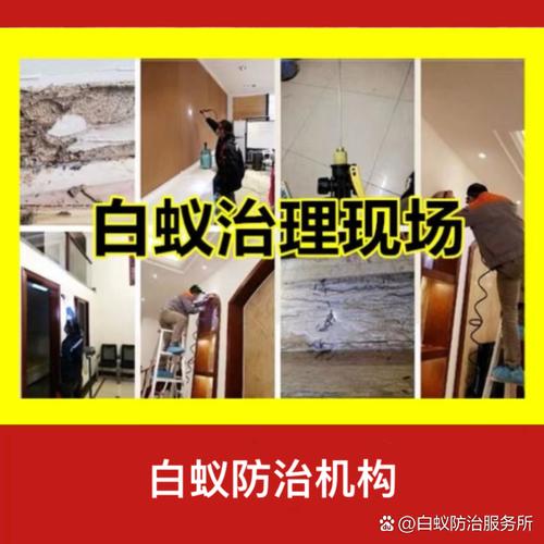 灭白蚁的电话号码是多少_有没有消灭白蚁的电话_灭白蚂蚁电话