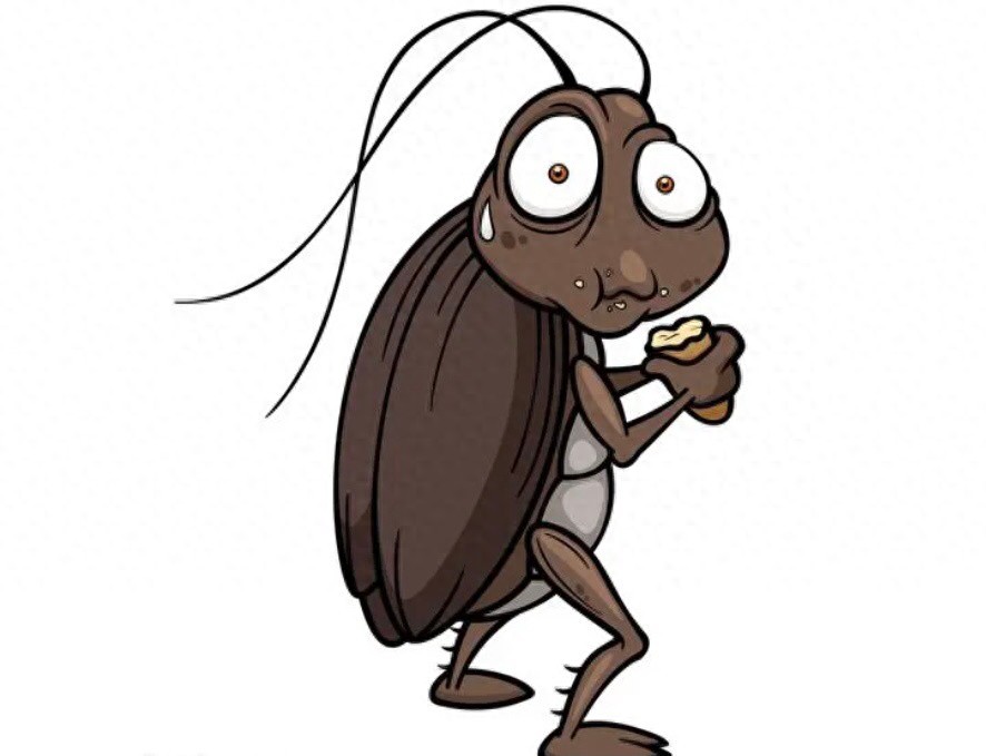 灭蟑螂的药长什么样子_灭蟑螂药_灭蟑螂的药怎么用