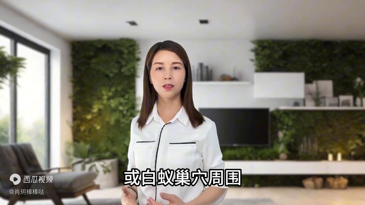 白蚁药在哪买_白蚁药_白蚁药如何使用