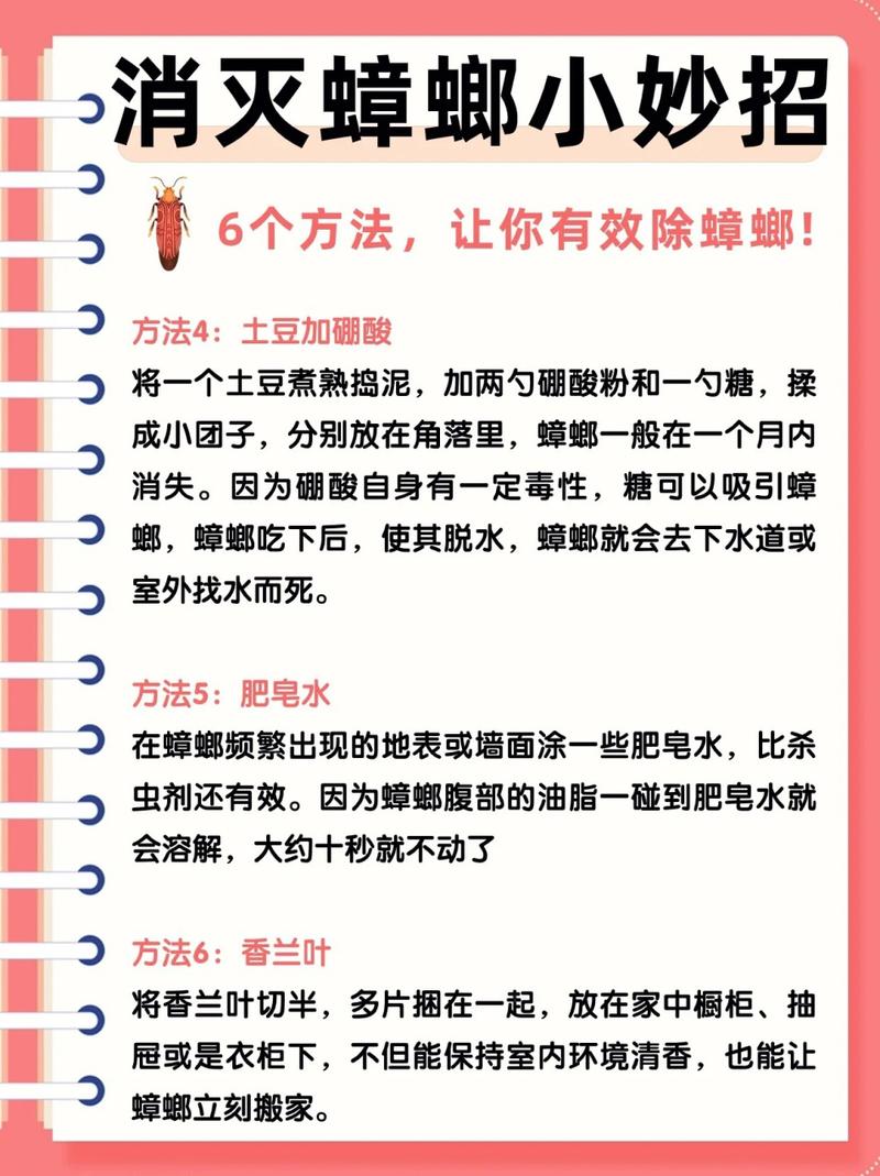 蟑螂怎么灭法啊有特效吗_灭蟑螂的最有效方法_蟑螂怎么消灭最彻底小妙招知乎