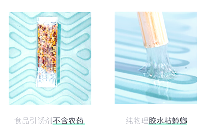 灭跳骚蟑螂最有效的**_蟑螂骚气怎么去除_蟑螂灭