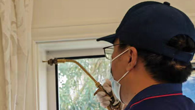 上海灭白蚁_上海灭白蚁怎么收费价格_上海灭白蚁上门公司