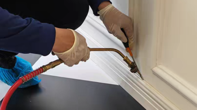 上海灭白蚁怎么收费价格_上海灭白蚁上门公司_上海灭白蚁