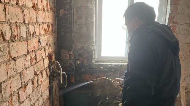 上海灭白蚁_上海灭白蚁怎么收费价格_上海灭白蚁上门公司