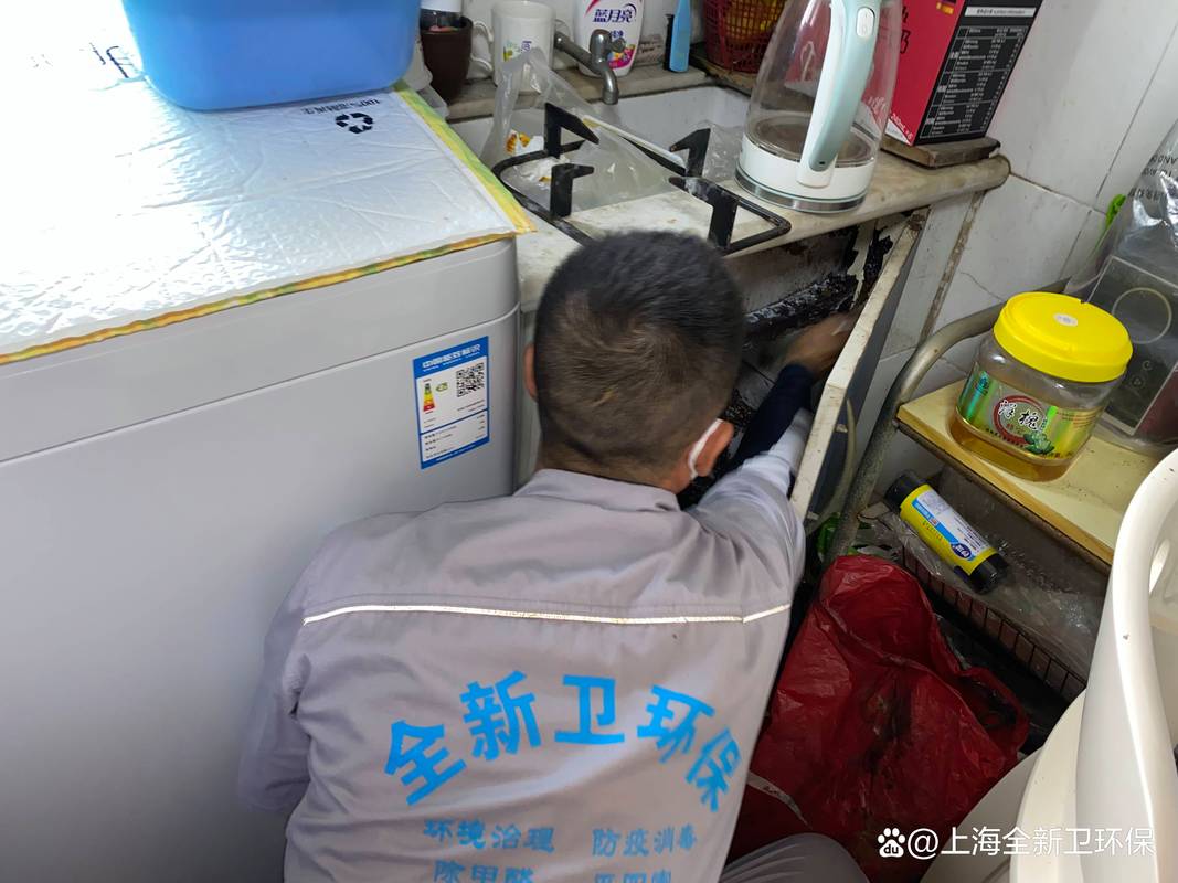 上海灭白蚁怎么收费价格_上海灭白蚁_上海灭白蚁上门公司