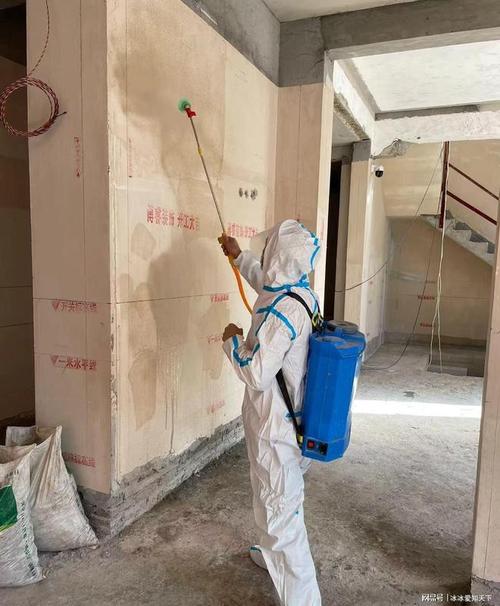 上海灭白蚁上门公司_上海灭白蚁怎么收费价格_上海灭白蚁