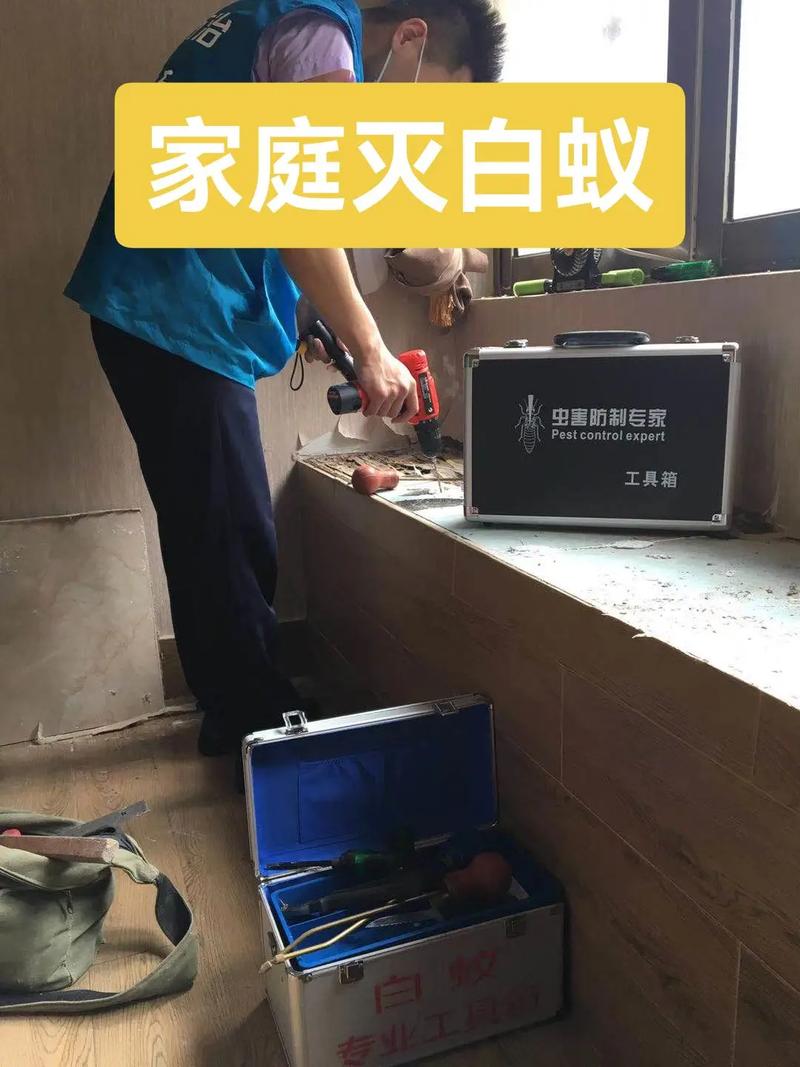 灭白蚁一般多少钱一个平方_灭白蚁多少钱_灭白蚁要钱吗