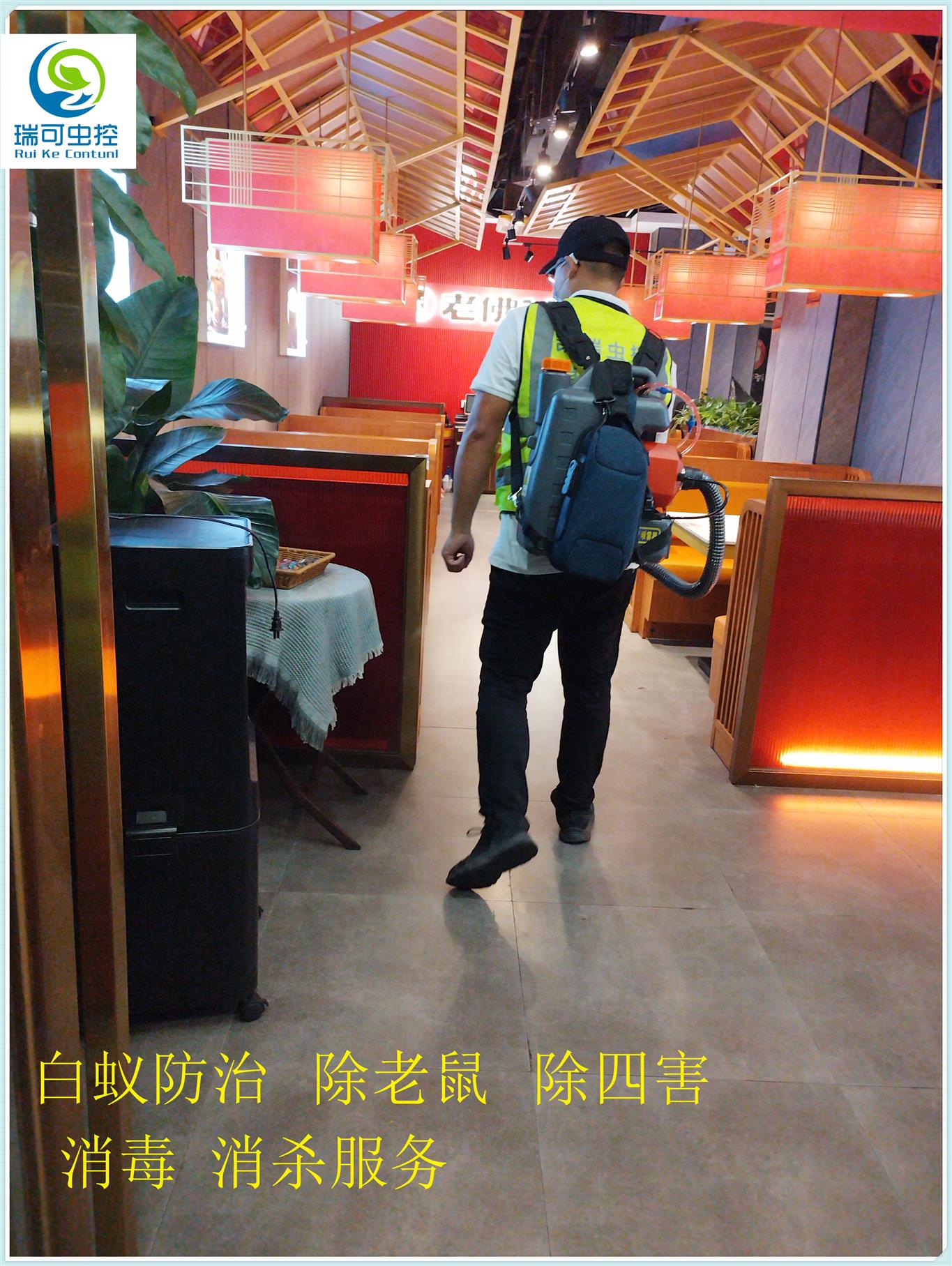 上门灭蟑螂服务价格_灭蟑螂的专业公司上门_灭杀蟑螂上门服务多少钱一次