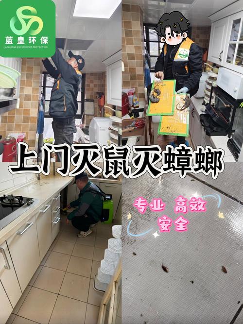 灭蟑螂的专业公司上门_上门灭蟑螂服务价格_灭杀蟑螂上门服务多少钱一次