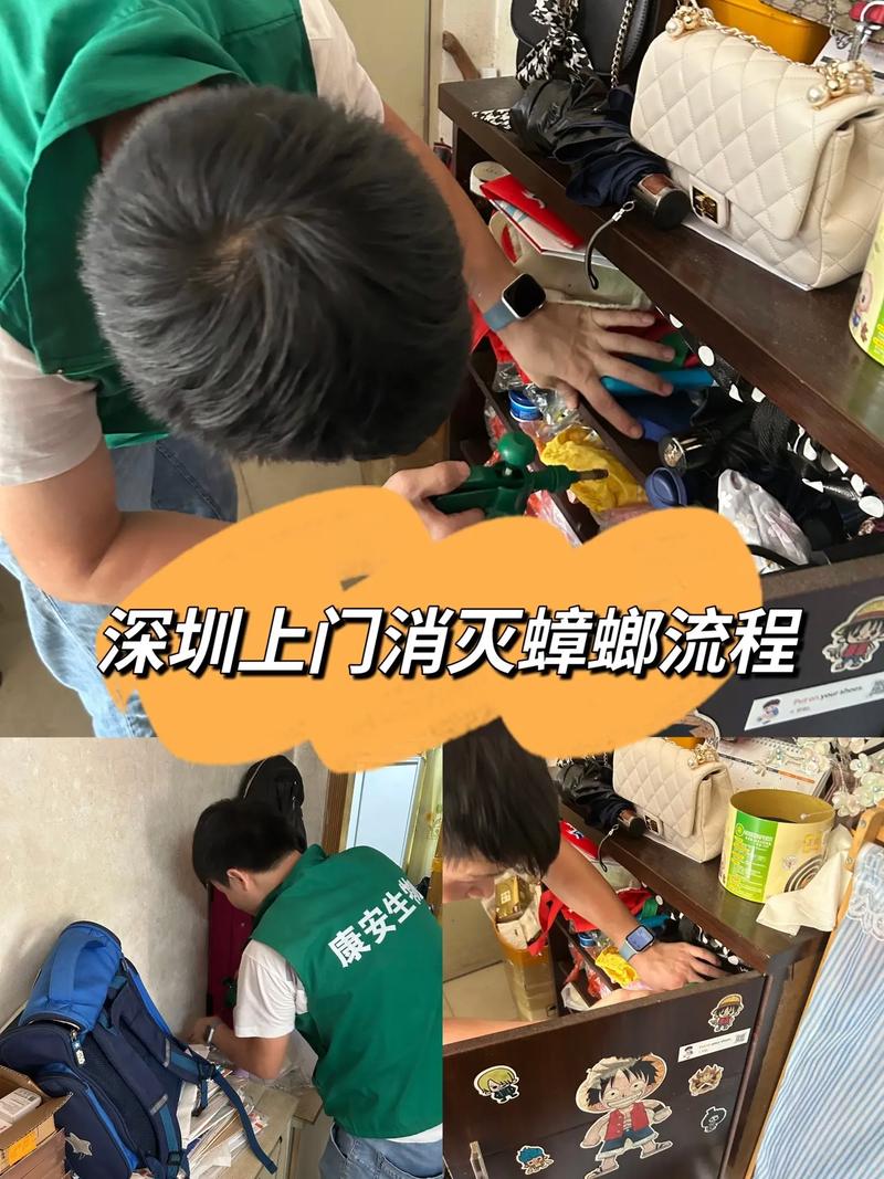 灭蟑螂的专业公司上门_上门灭蟑螂服务价格_灭杀蟑螂上门服务多少钱一次