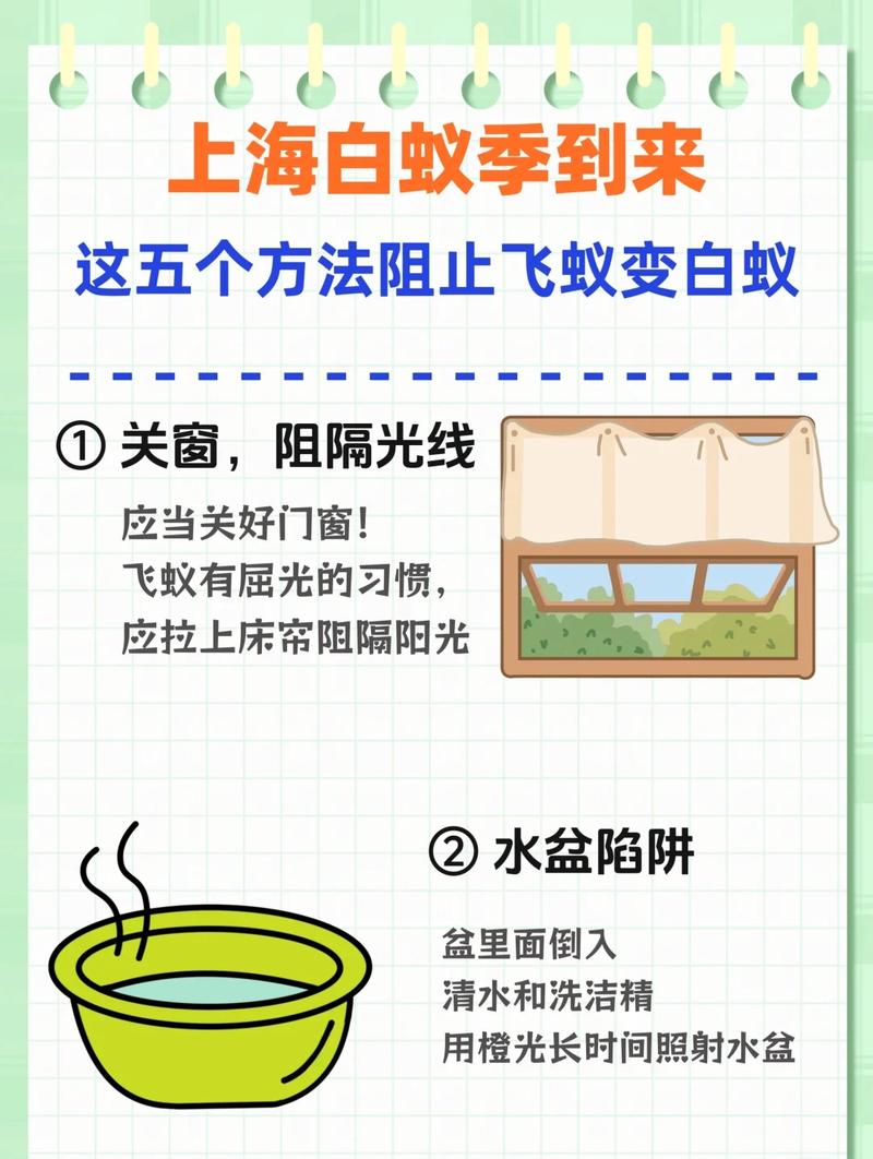 灭白蚁最好方法_怎么样灭白蚁最有效_灭白蚁用什么药效果好