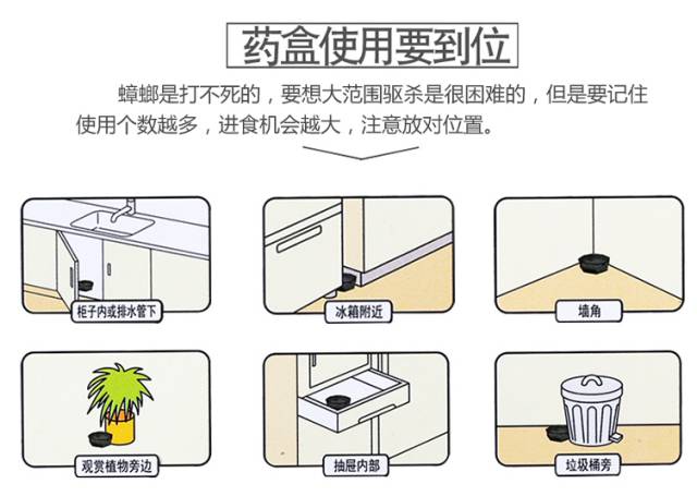 灭蟑螂的药有毒吗_灭蟑螂药哪种最有效_蟑螂药灭蟑螂