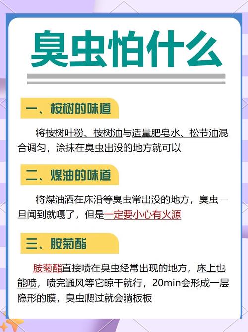 灭臭虫专用药_灭臭虫***_灭臭虫用什么药最好