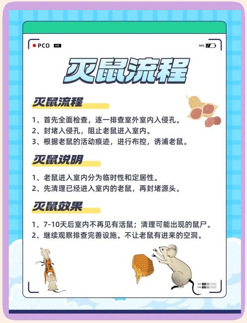 灭老鼠公司电话_灭老鼠的公司的电话号码_灭老鼠专业公司