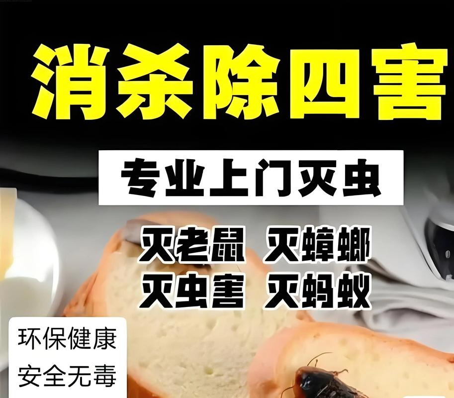 灭老鼠的公司的电话号码_灭老鼠专业公司_灭老鼠公司电话