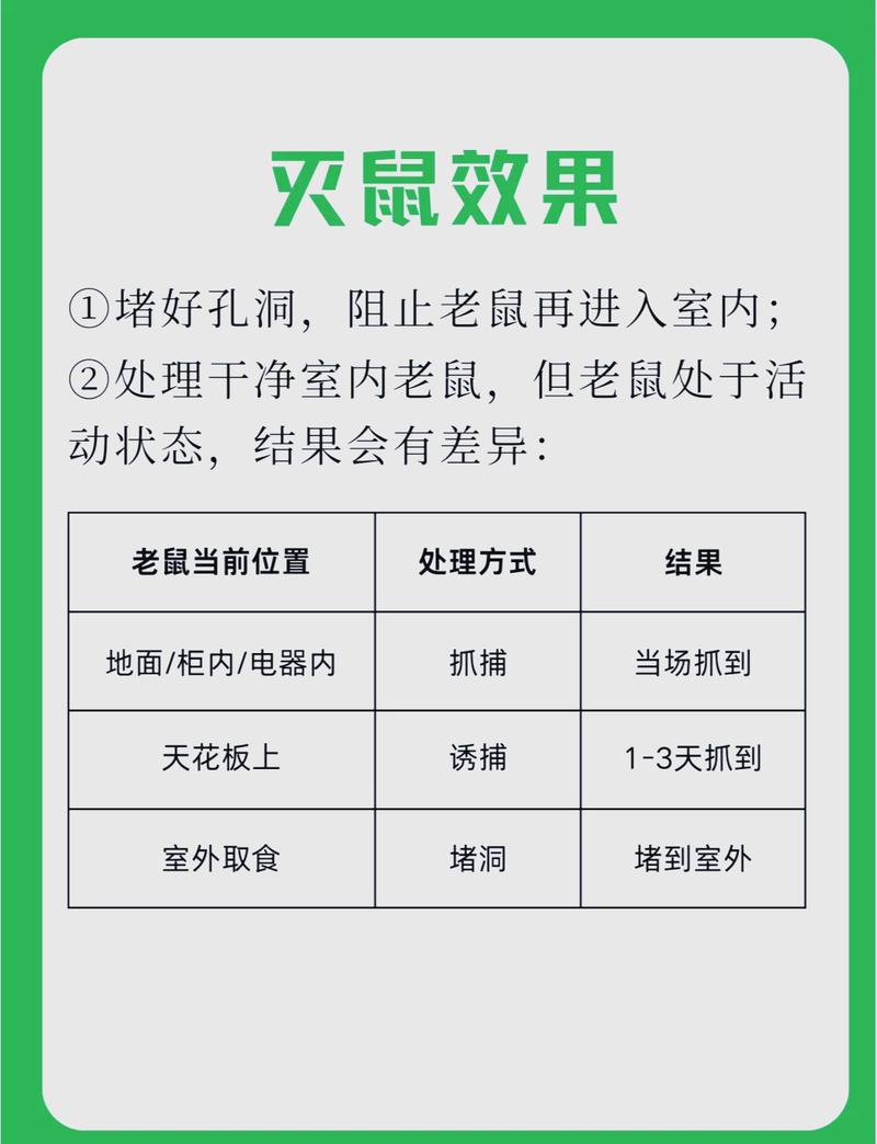 灭老鼠专业公司_灭老鼠服务公司_灭老鼠公司电话