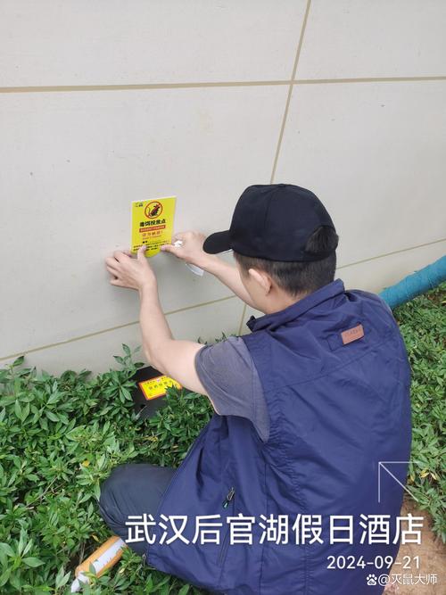 灭老鼠专业公司_灭老鼠服务公司_灭老鼠公司电话