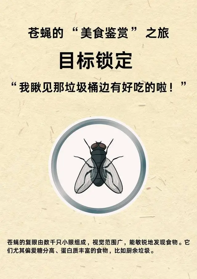 灭苍蝇的灯_灭苍蝇灯对人有害吗_灭苍蝇灯有用吗