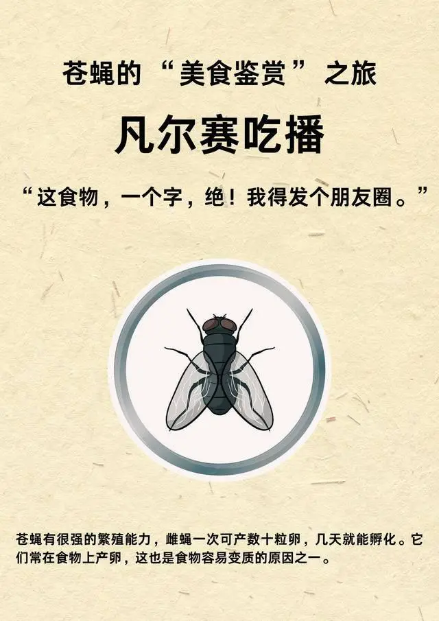 灭苍蝇灯有用吗_灭苍蝇的灯_灭苍蝇灯对人有害吗