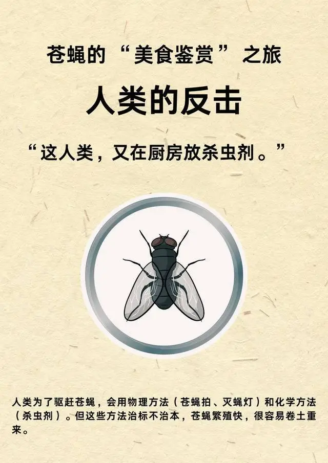 灭苍蝇的灯_灭苍蝇灯对人有害吗_灭苍蝇灯有用吗