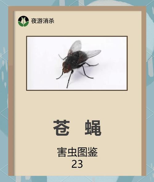 灭苍蝇灯有用吗_灭苍蝇灯对人有害吗_灭苍蝇的灯