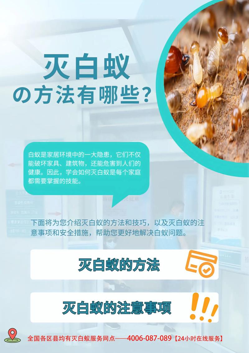 灭白蚁找哪个部门_灭白蚁找什么部门_灭白蚁找谁