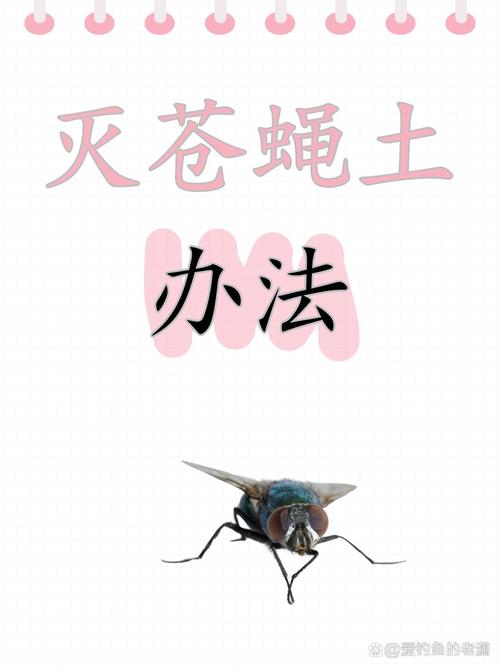 灭苍蝇的灯是紫外线吗_灭苍蝇的灯是什么原理_灭苍蝇灯有用吗