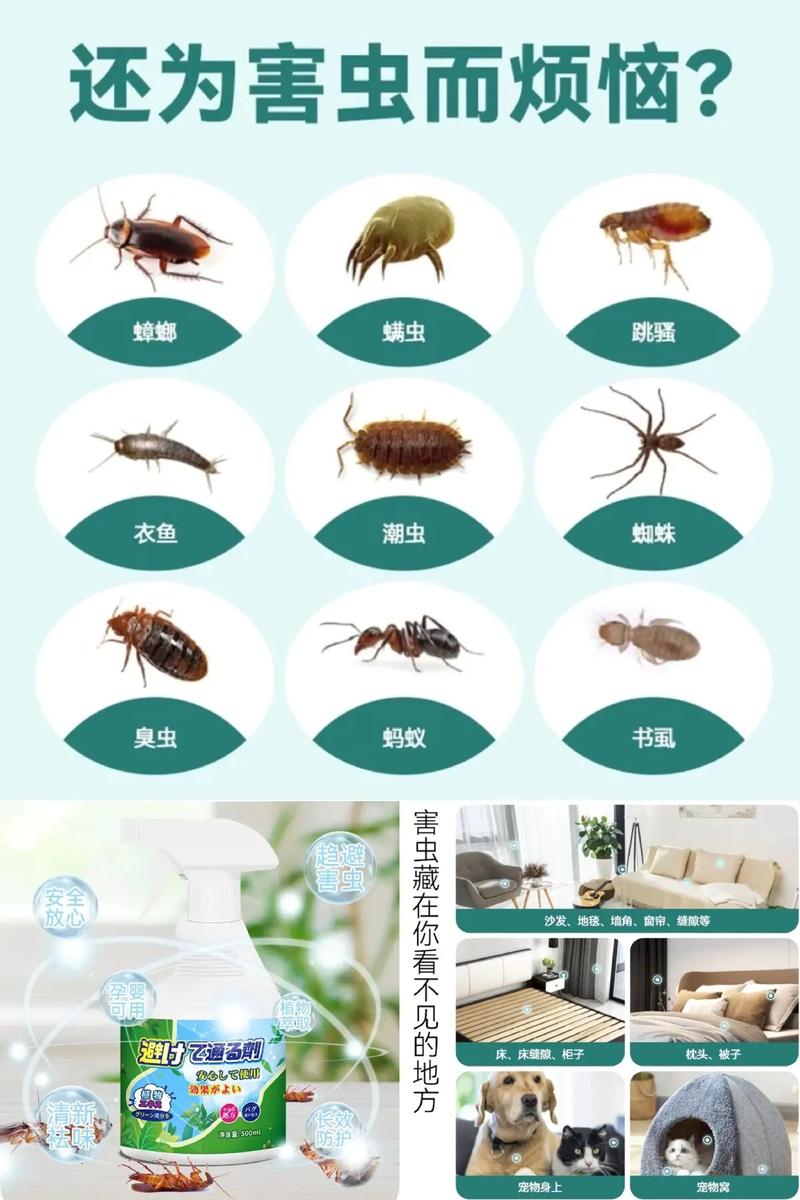 杀虫剂灭跳蚤_杀虫剂可以灭跳骚吗_灭跳骚杀虫剂