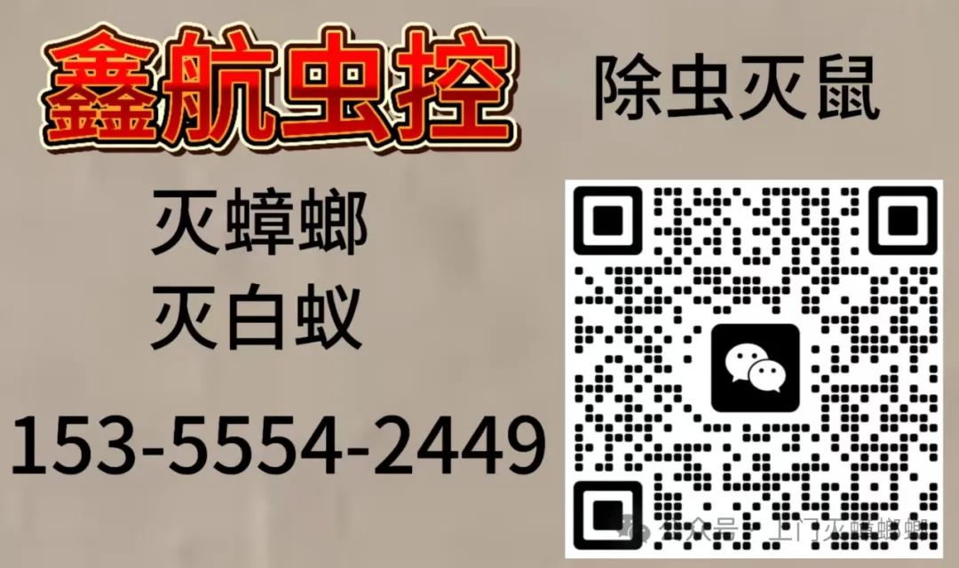 灭老鼠的电话_灭老鼠的公司的电话号码_灭老鼠公司电话