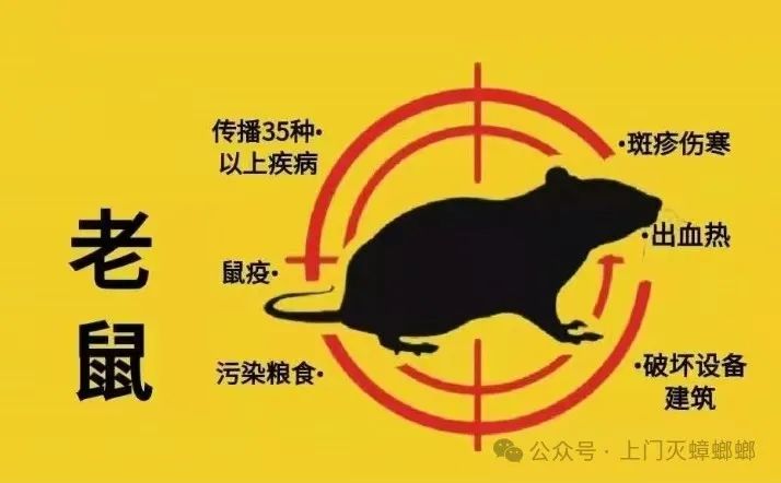 灭老鼠的公司的电话号码_灭老鼠的电话_灭老鼠公司电话