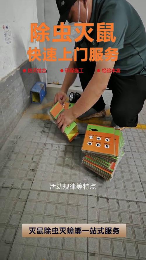 灭老鼠公司电话_灭老鼠的公司的电话号码_灭老鼠的电话