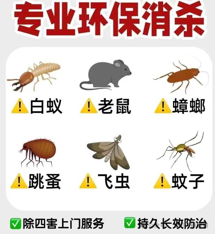 灭老鼠公司电话_灭老鼠的电话_灭老鼠的公司的电话号码