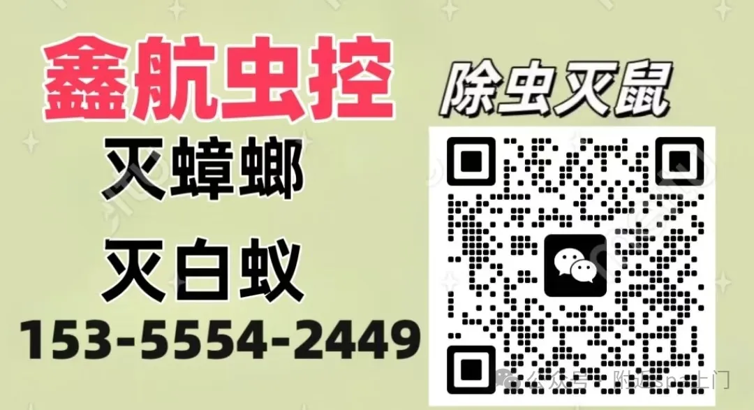 灭老鼠灭老鼠公司_灭老鼠专业公司_灭老鼠公司电话
