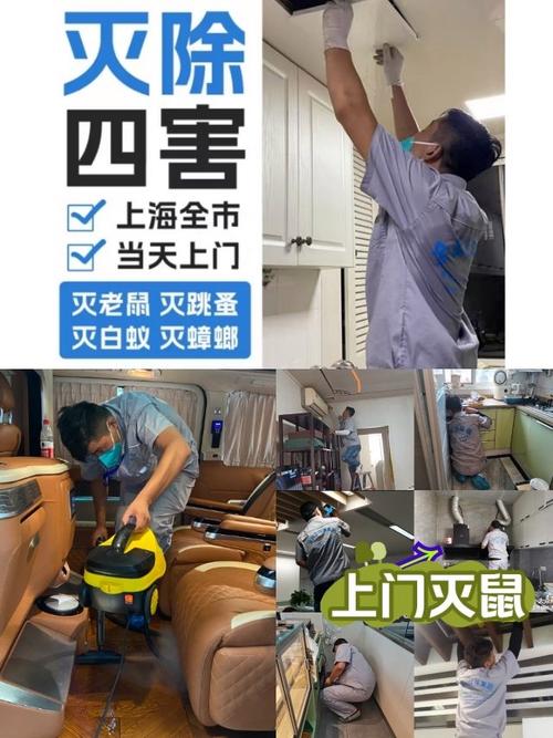 灭老鼠专业公司_灭老鼠灭老鼠公司_灭老鼠公司电话