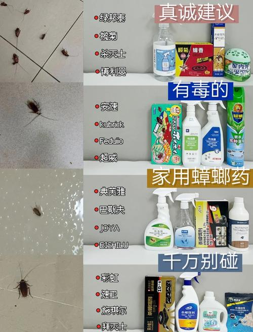 灭蟑螂的药长什么样子_蟑螂药灭蟑螂_灭蟑螂药哪种最有效