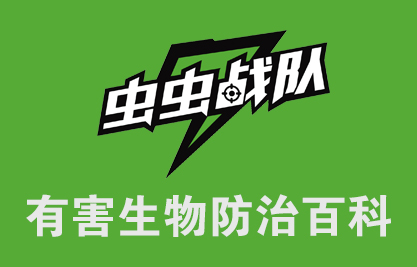 灭蟑螂的药长什么样子_灭蟑螂药哪种最有效_蟑螂药灭蟑螂