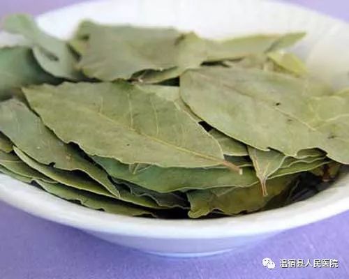 家里消灭跳蚤妙招_消灭妙招跳蚤家里有蟑螂_消灭妙招跳蚤家里怎么消毒