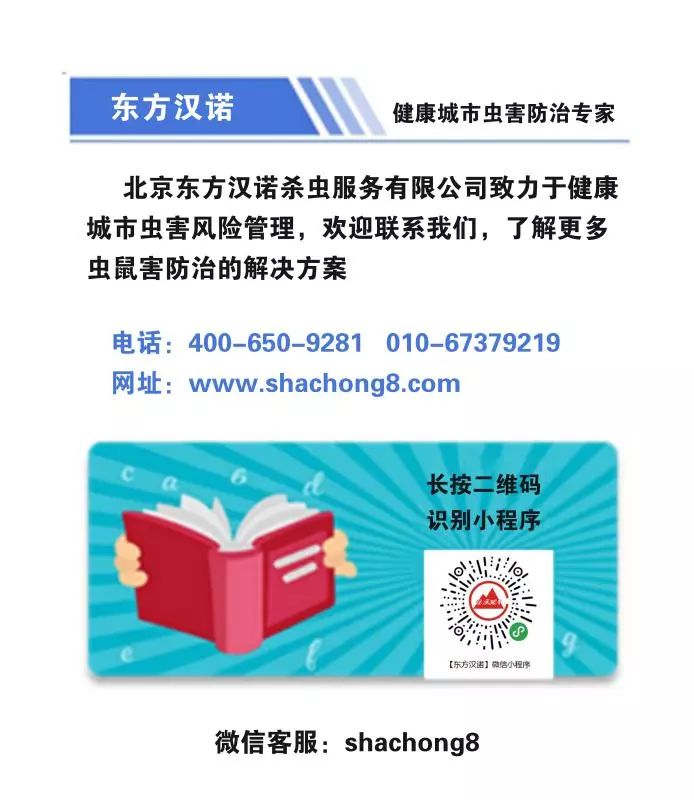 怎么消灭跳骚_如何彻底消灭跳骚_杀灭跳骚的特效药