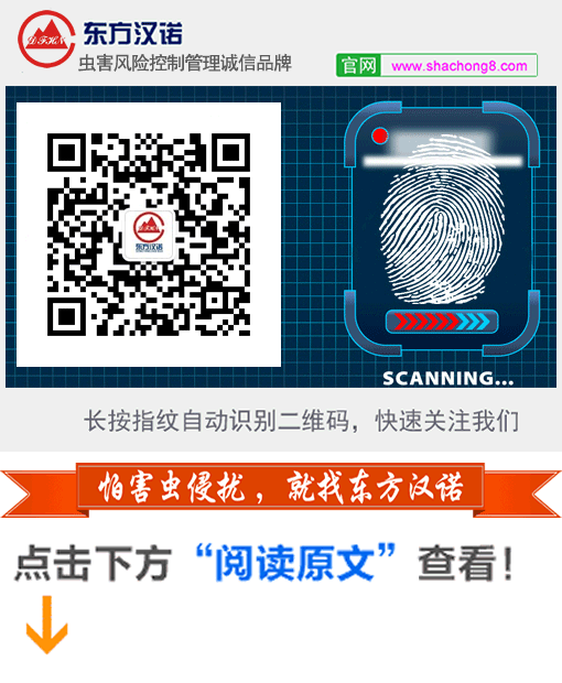 怎么消灭跳骚_杀灭跳骚的特效药_如何彻底消灭跳骚