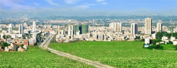 老鼠消灭方法有哪些_老鼠怎么消灭_老鼠消灭方法