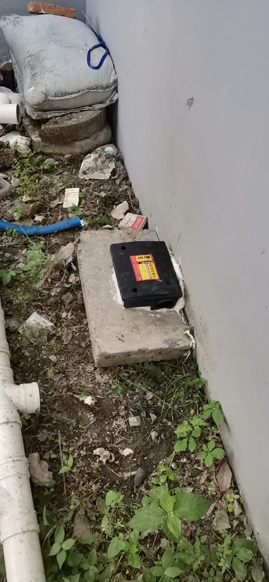 用什么药可以把老鼠消灭_老鼠怎么消灭_老鼠消灭方法有哪些