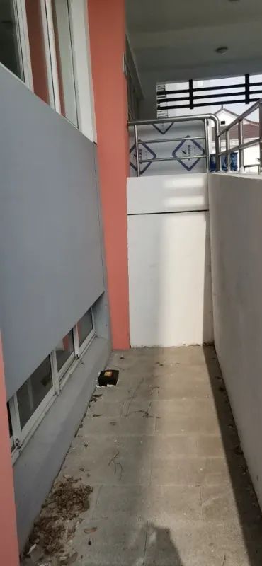 老鼠消灭方法有哪些_用什么药可以把老鼠消灭_老鼠怎么消灭