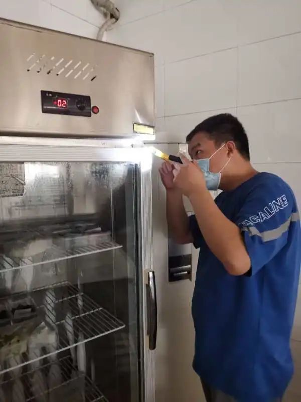 老鼠消灭方法有哪些_老鼠怎么消灭_用什么药可以把老鼠消灭