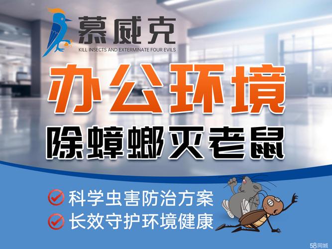 用什么药可以把老鼠消灭_老鼠怎么消灭_老鼠消灭方法有哪些